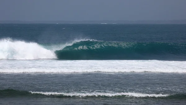 Indonesian Wave