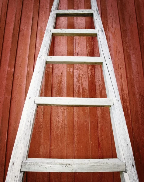 Rustic wooden ladder on red background
