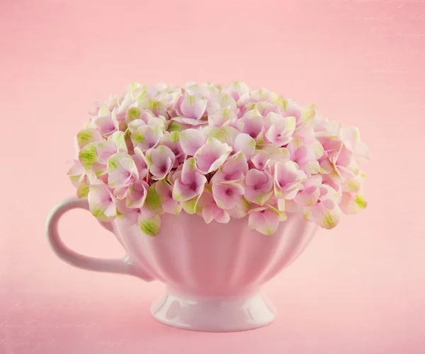 Romantic pink hydrangea flowers in a mug — Stock Photo #24894227