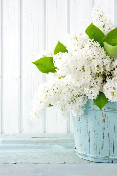 White lilac spring flowers in a blue vase