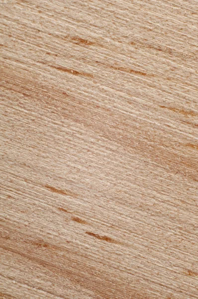 Wood grain texture. macro