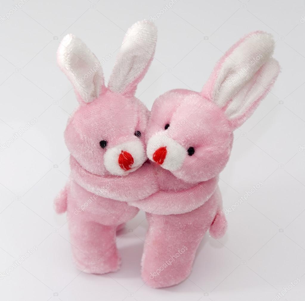 Two bunnies hug — Stock Photo © sgorin 12555544