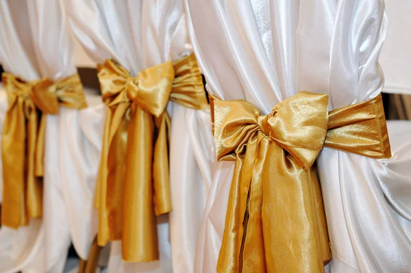 Wedding chairs in row decorated with golden color ribbon