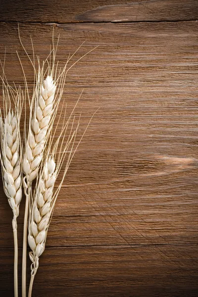 Ears of wheat on wood