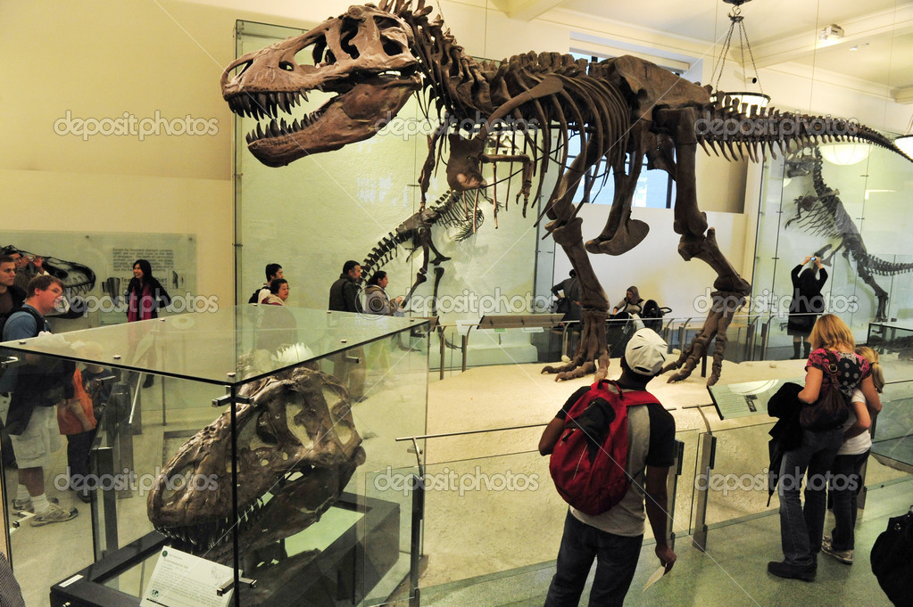 depositphotos_21612277-stock-photo-the-a