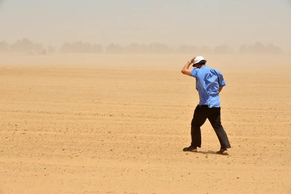 Dust and sand storm