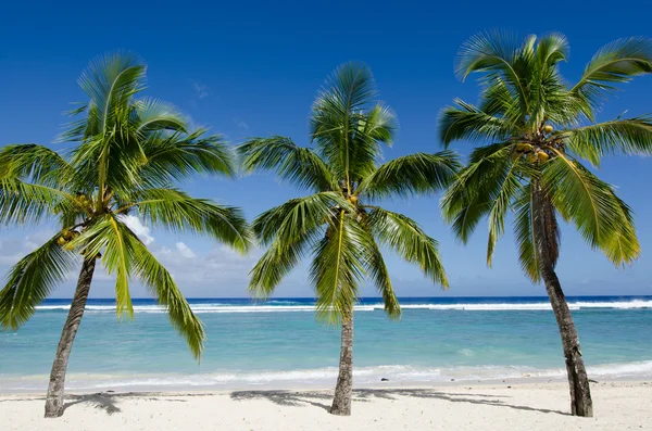 Titikaveka beach in Rarotonga Cook Islands