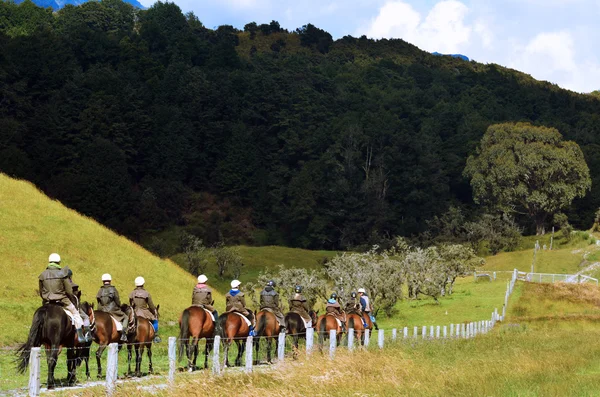 Horse Trekking and Horse Riding in New Zealand