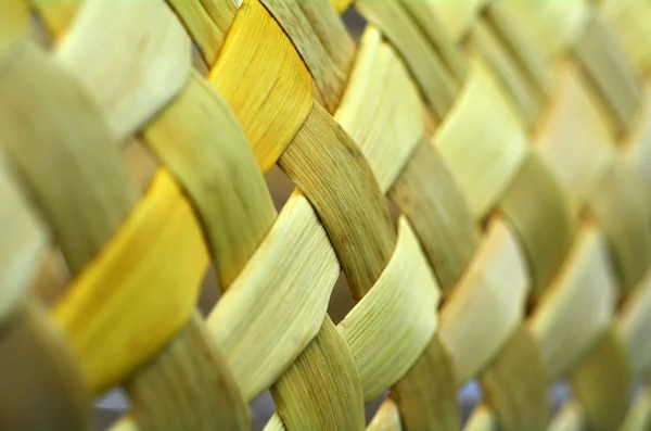 Maori weaving artwork
