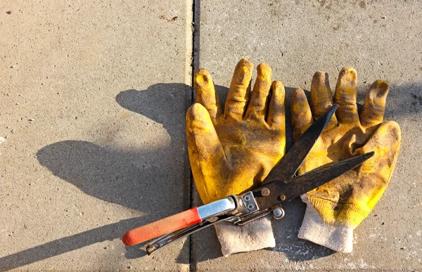 Gardening scissors and dirty yellow gloves