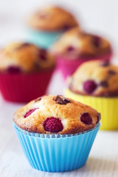 Group of tasty muffins placed on table