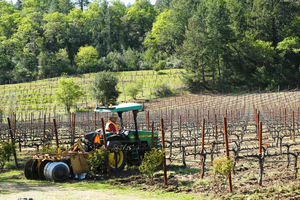 Worker cultivates soil in vineyard by tractor with disc narrows in Napa Valley, California