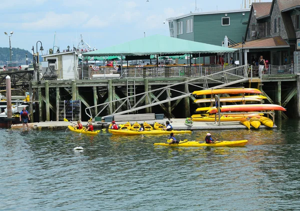 Tourists riding sea kayaks in Bar Harbor, Maine
