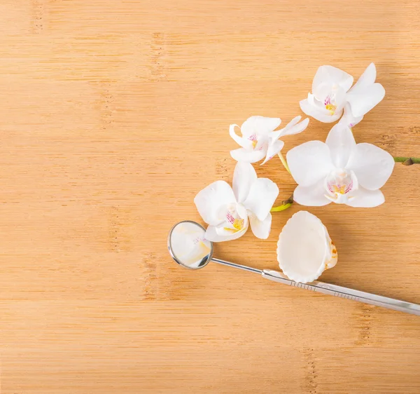 Dentistry Concept with white orchid, shell and dental tools