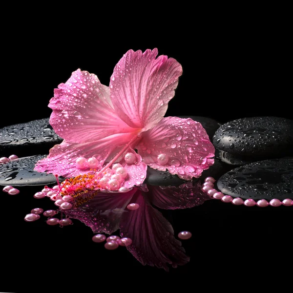 Beautiful spa still life of pink hibiscus, drops and pearl beads