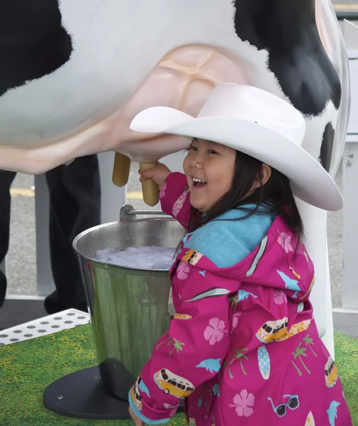 Having Fun Milking a Cow