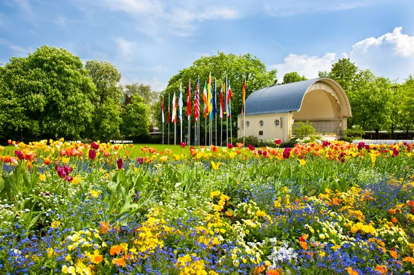 Landscape with colorful flowers and blue sky. germany, baden-bad