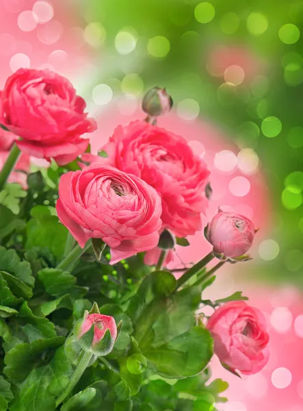 Beautiful pink flowers over blurred background