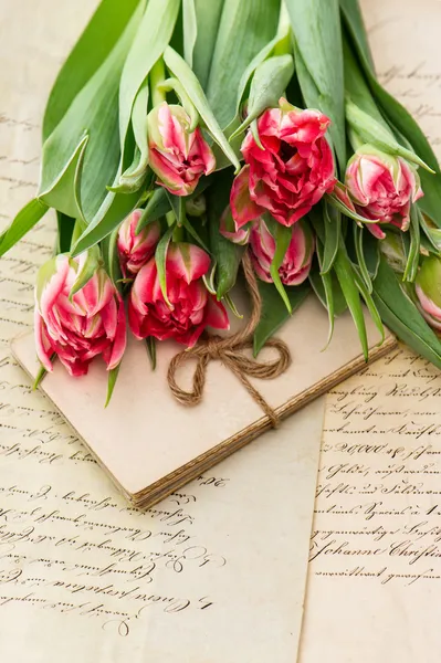 Soft pink tulips, old love letters and cards