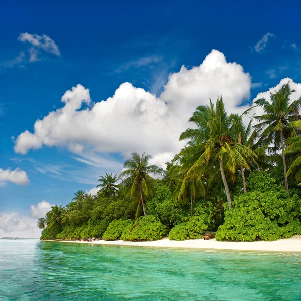 Landscape of tropical island beach