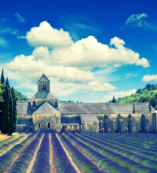 Senanque abbey with lavender field, landmark of Provence, Vauclu