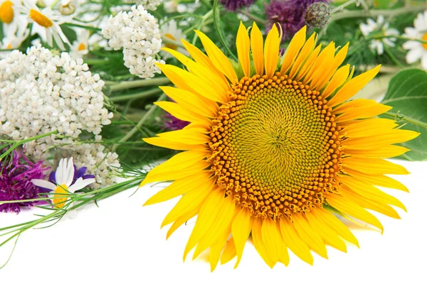 Flower of sunflower and other wildflowers