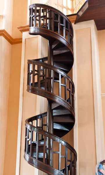 Tree spiral staircase