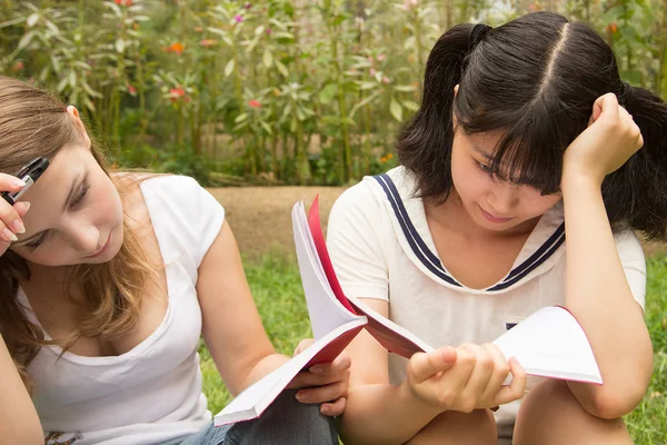 American and Asian students do homework outdoor of college
