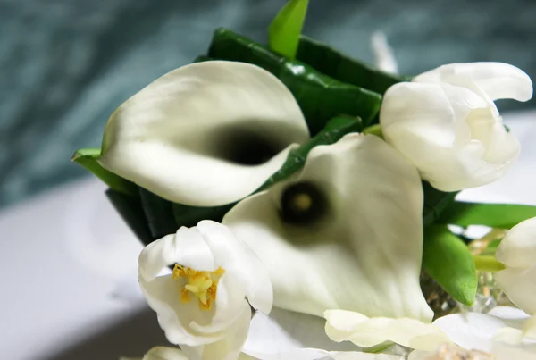 Beautiful wedding bouquet of white callas and tulips
