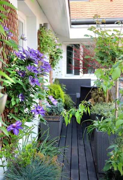 Beautiful modern terrace with a lot of flowers