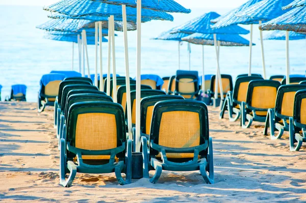 Chairs stand in a row under blue umbrellas
