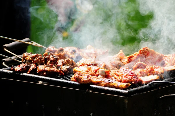 Barbecue in the forest.shashlik at nature.Process of cooking meat on barbecue, closeup.Barbecue with meat in metal grate, closed-up in forest with grass