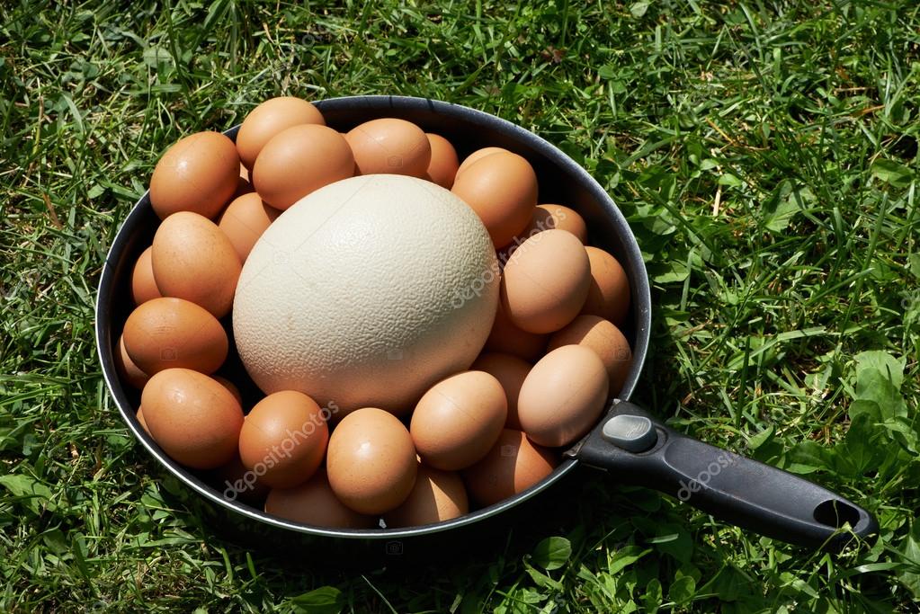 Autruche et les oeufs de poule doeuf sur pan — Photographie ryzhov © 35780693