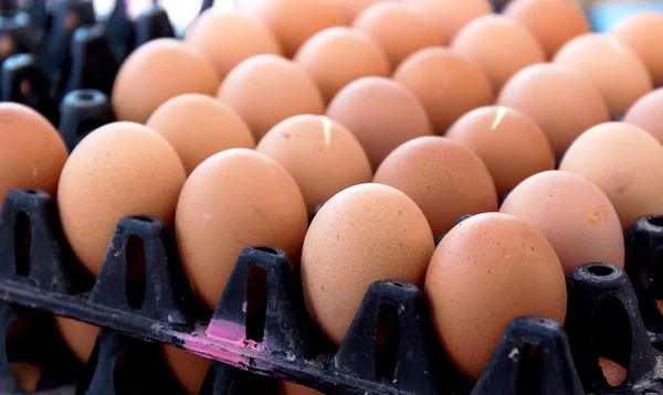 Eggs at market