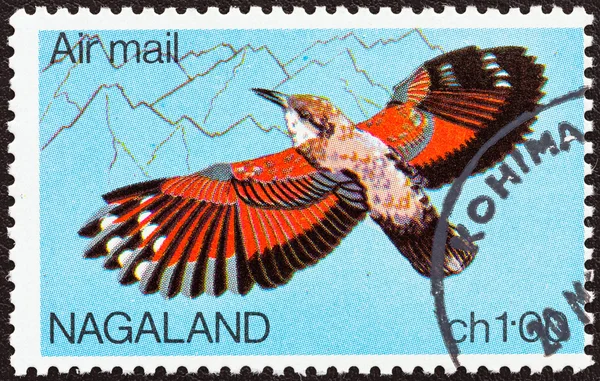 NAGALAND STATE - CIRCA 1969: A stamp printed in India shows a Wallcreeper (Tichodroma muraria) bird, circa 1969.