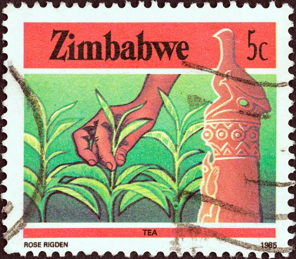 ZIMBABWE - CIRCA 1985: A stamp printed in Zimbabwe from the \