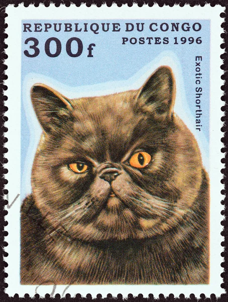 CONGO REPUBLIC - CIRCA 1996: A stamp printed in Congo from the \