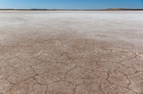 Cracked earth on dry bottom of salt lake. Lochiel. South Australia.