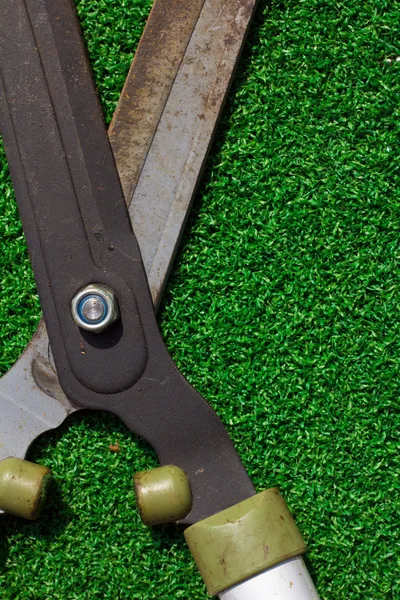Scissors cut the grass — Stock Photo #33736363