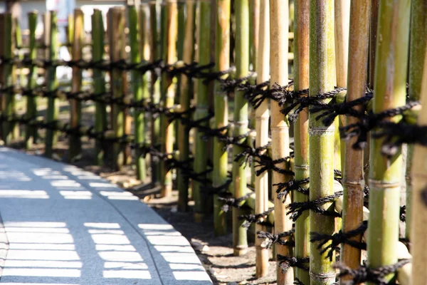 Japanese style Bamboo fences in japan garden