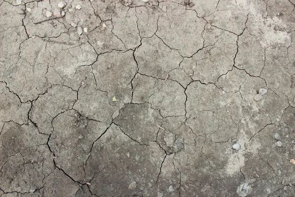 Cracks in the dry land, which can be used as background