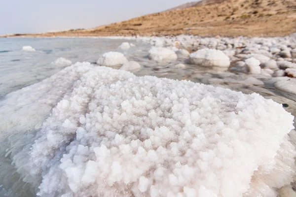 Detail of salt on the Dead Sea shore, Jordan