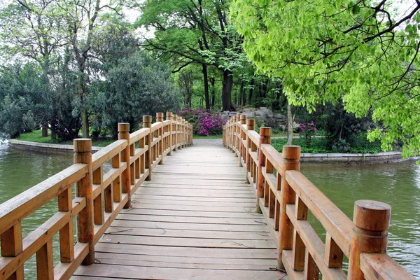 Landscape of chinese park