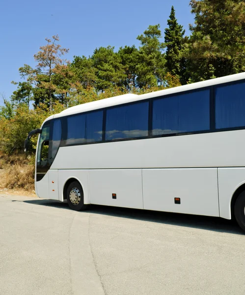 White coach