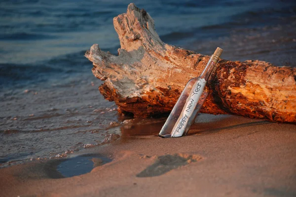 New Year\'s message in a bottle with driftwood