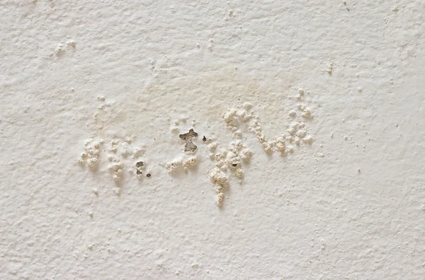 Small crack texture of white wall