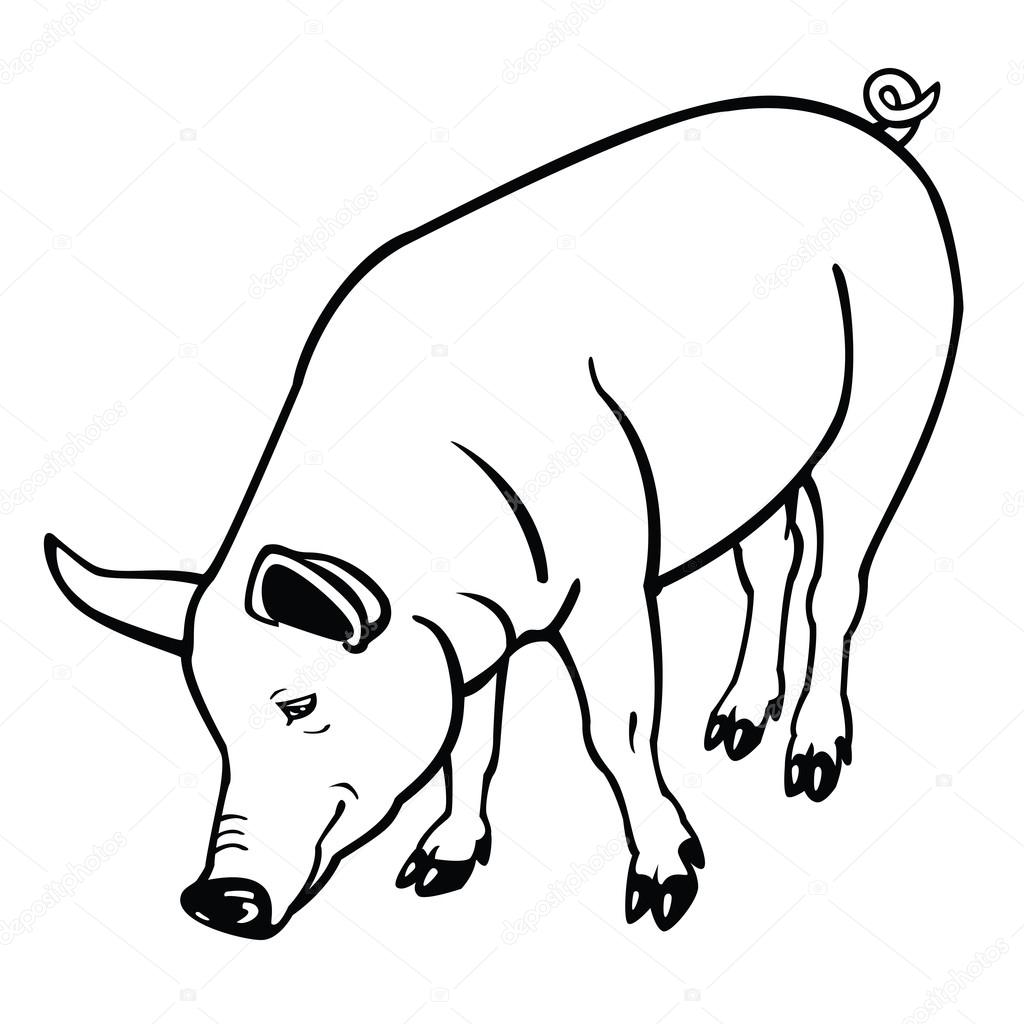 Standing pig black and white — Stock Vector © insima 13143577
