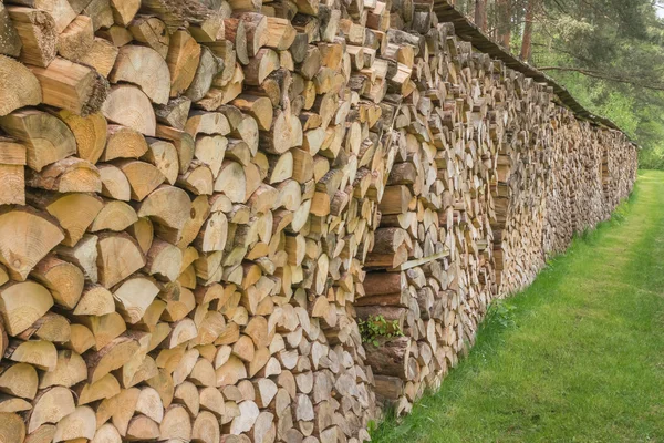 Firewood stacked in a row