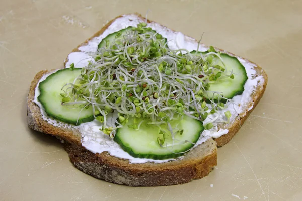 Closeup of diet sandwich with fresh sprouts and cucumber