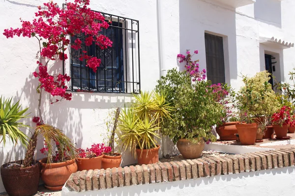 Beautiful street decorated with flowers in clay pots